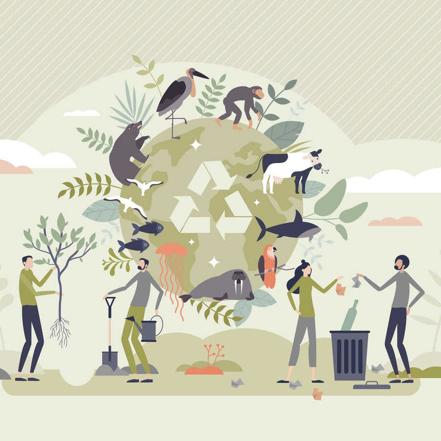 Biodiversity and Nature-Based Solutions for Business Resilience