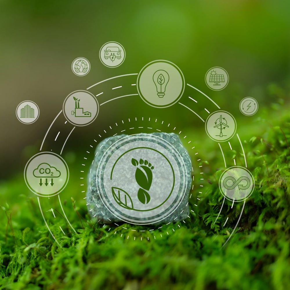 Carbon Footprint 101: How to Measure and Report