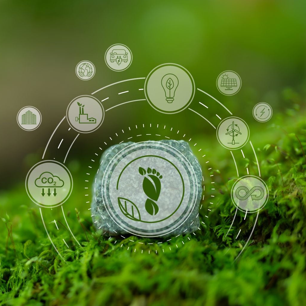 Carbon Footprint 101: How to Measure and Report