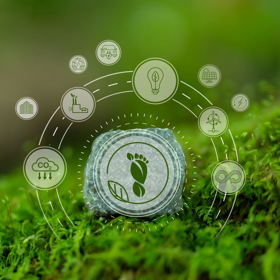 Carbon Footprint 101: How to Measure and Report