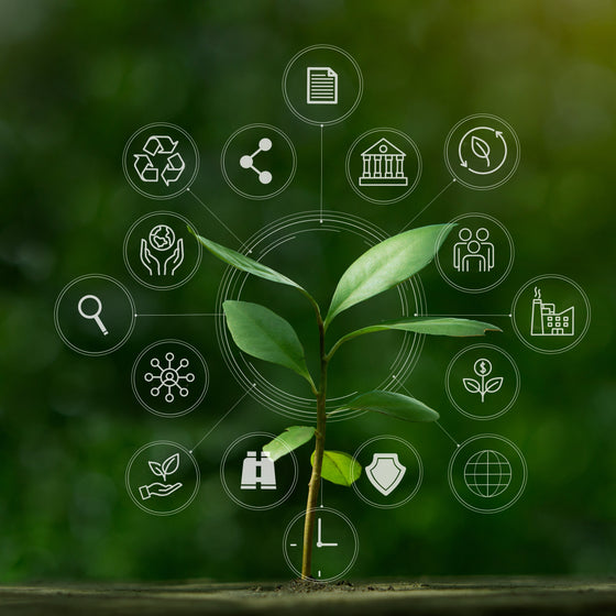 What is ESG: Why It Matters Today