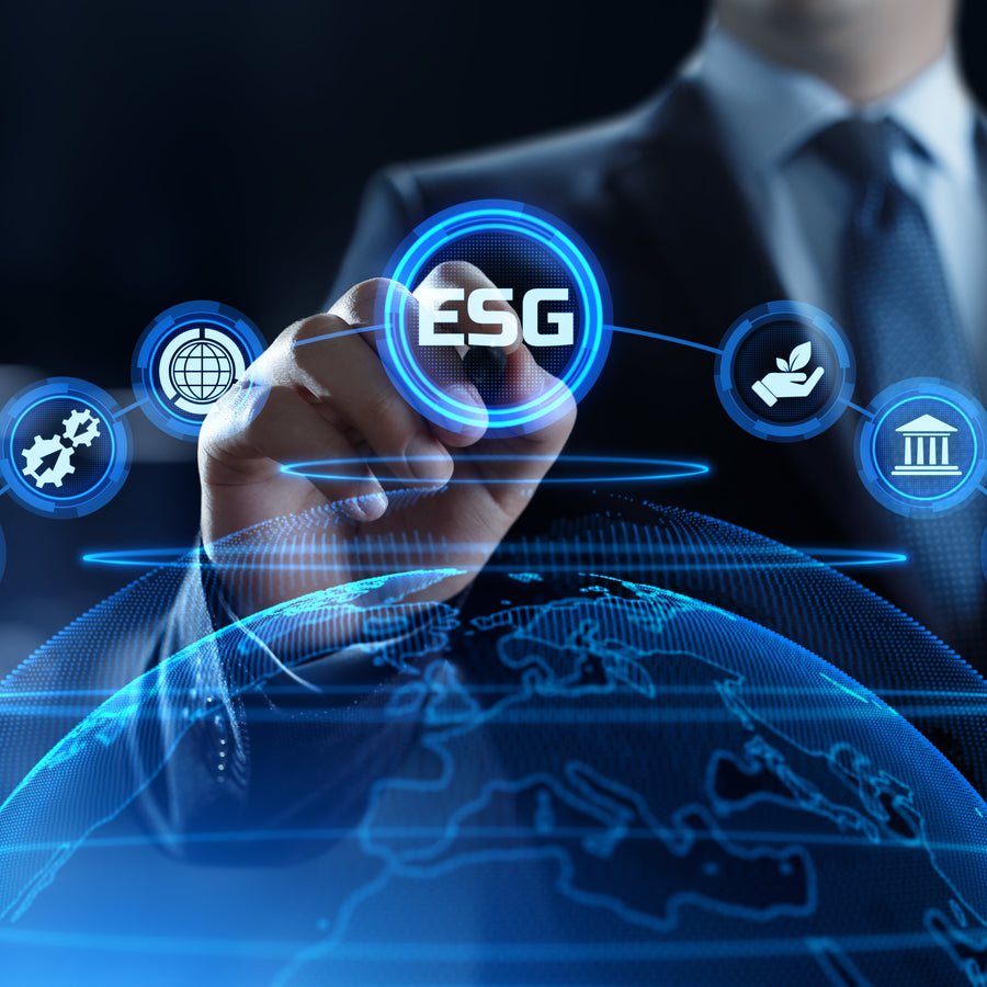 Strategic ESG: Aligning with Global Standards