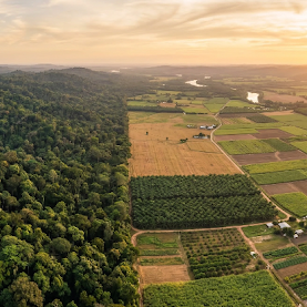 EU Deforestation Regulation (EUDR) Professional Training Course