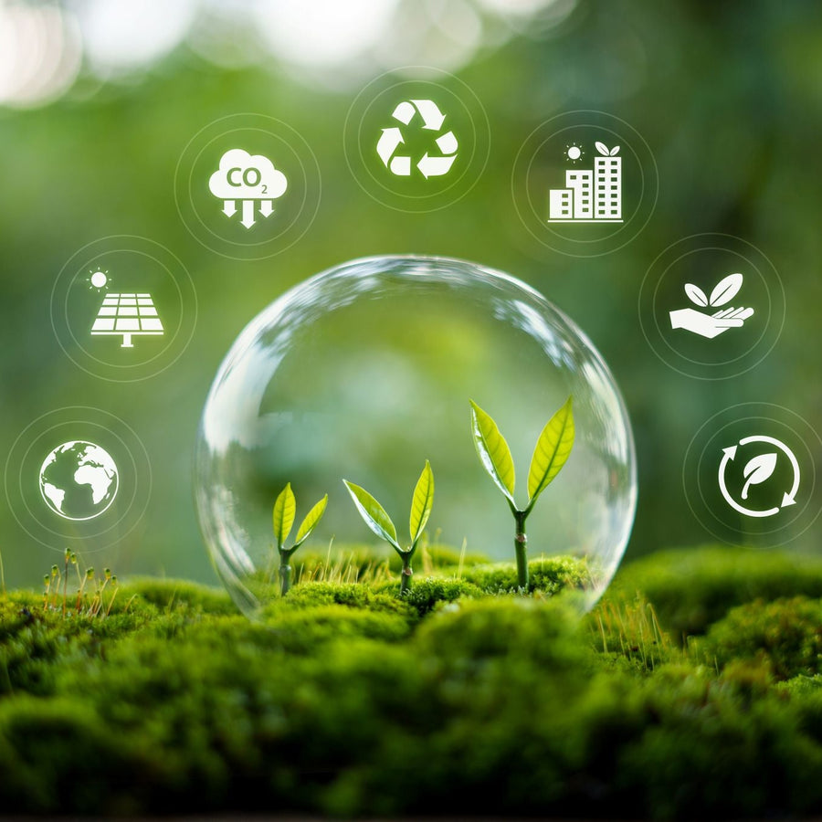 The Future of ESG: Trends for 2025 and Beyond