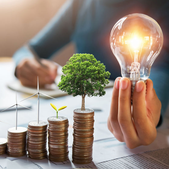 Green Investing: What Business Leaders Should Know