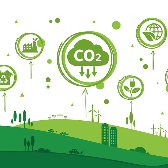 Energy Consumption and Greenhouse Gas Emissions