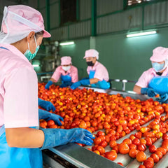 Workers sorting tomatoes in a factory setting