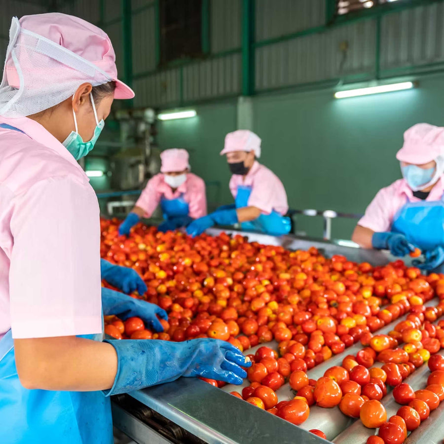 How to Report Forced Labor in Food Industry