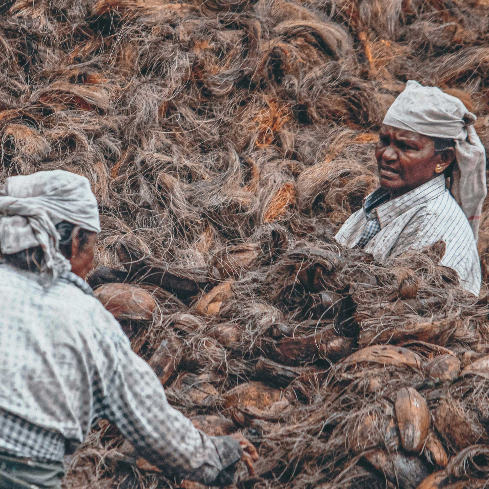 Two people working with a large pile of dried coconuts