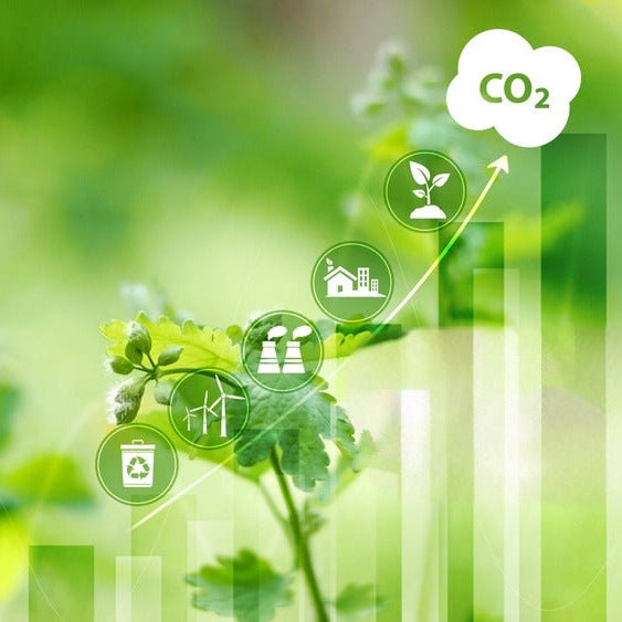 Building a Roadmap to Net-Zero Emissions