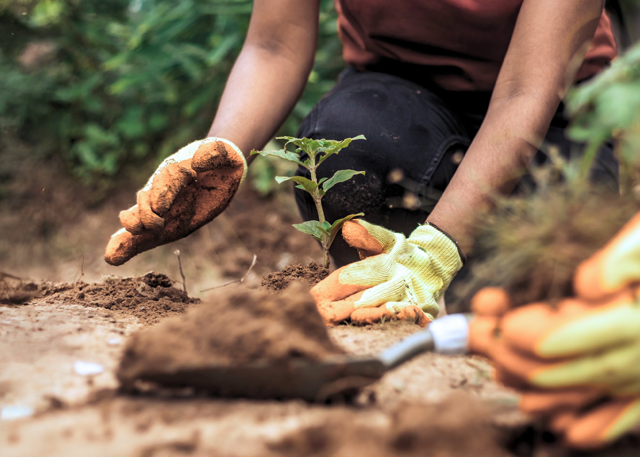 Environmental Management System Risk Assessment