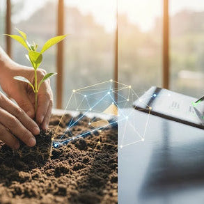 Sustainability Assurance (ISSA 5000)