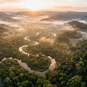 TNFD & Nature Risk