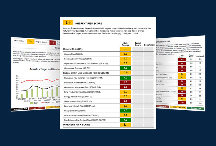 Risk assessment document with charts and tables 